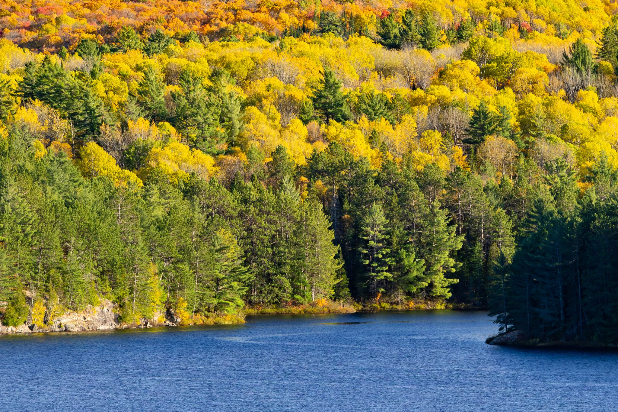 IMG 2133 Enhanced NR copy 2